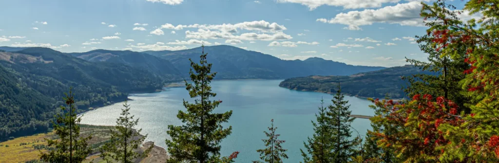 lewis county washington rife lake